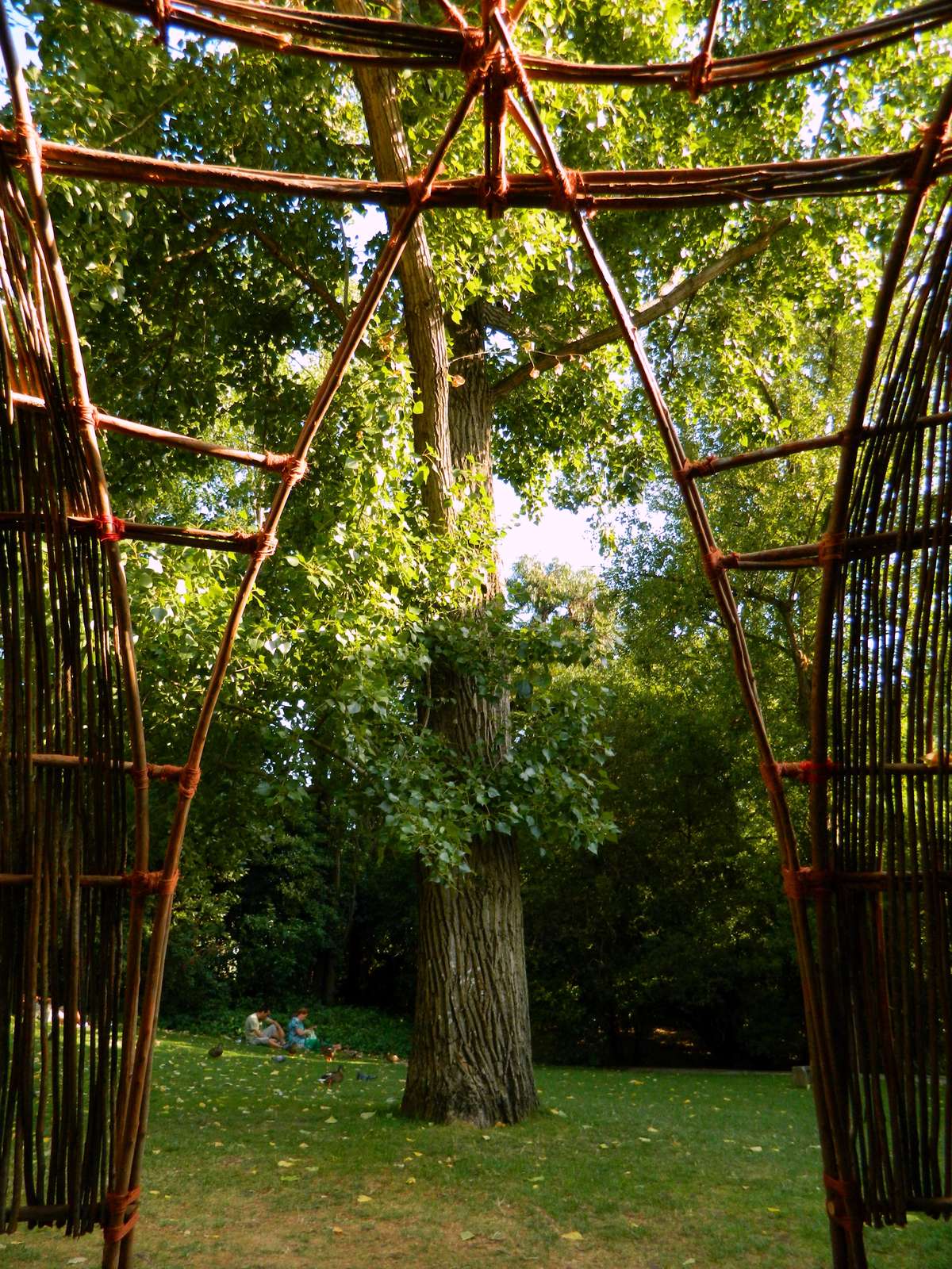 Shelter na Fundação Gulbenkian