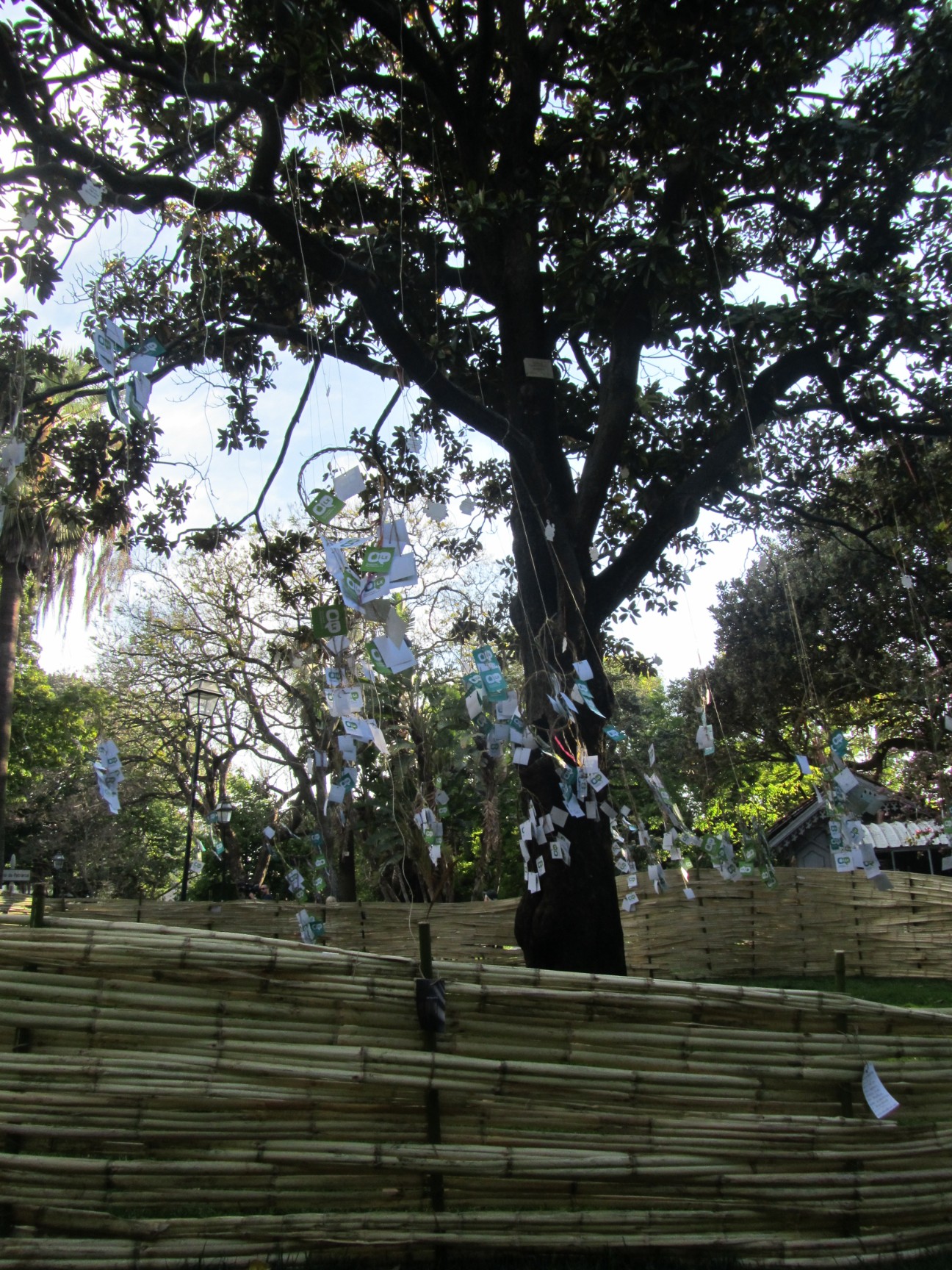 Árvore dos Desejos