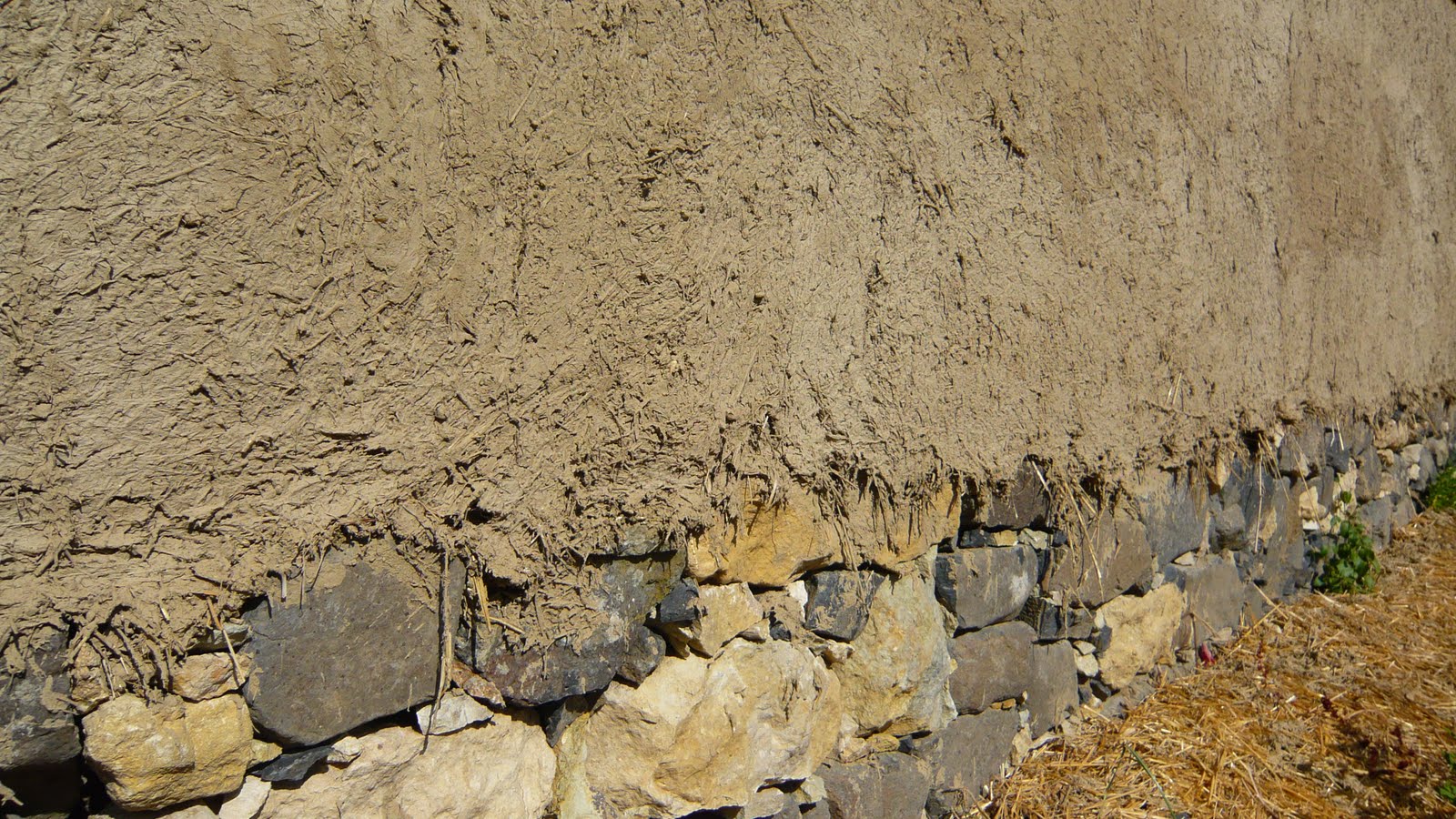 P1040834.JPG