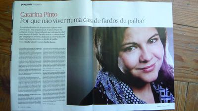 TerraPalha na revista Pública