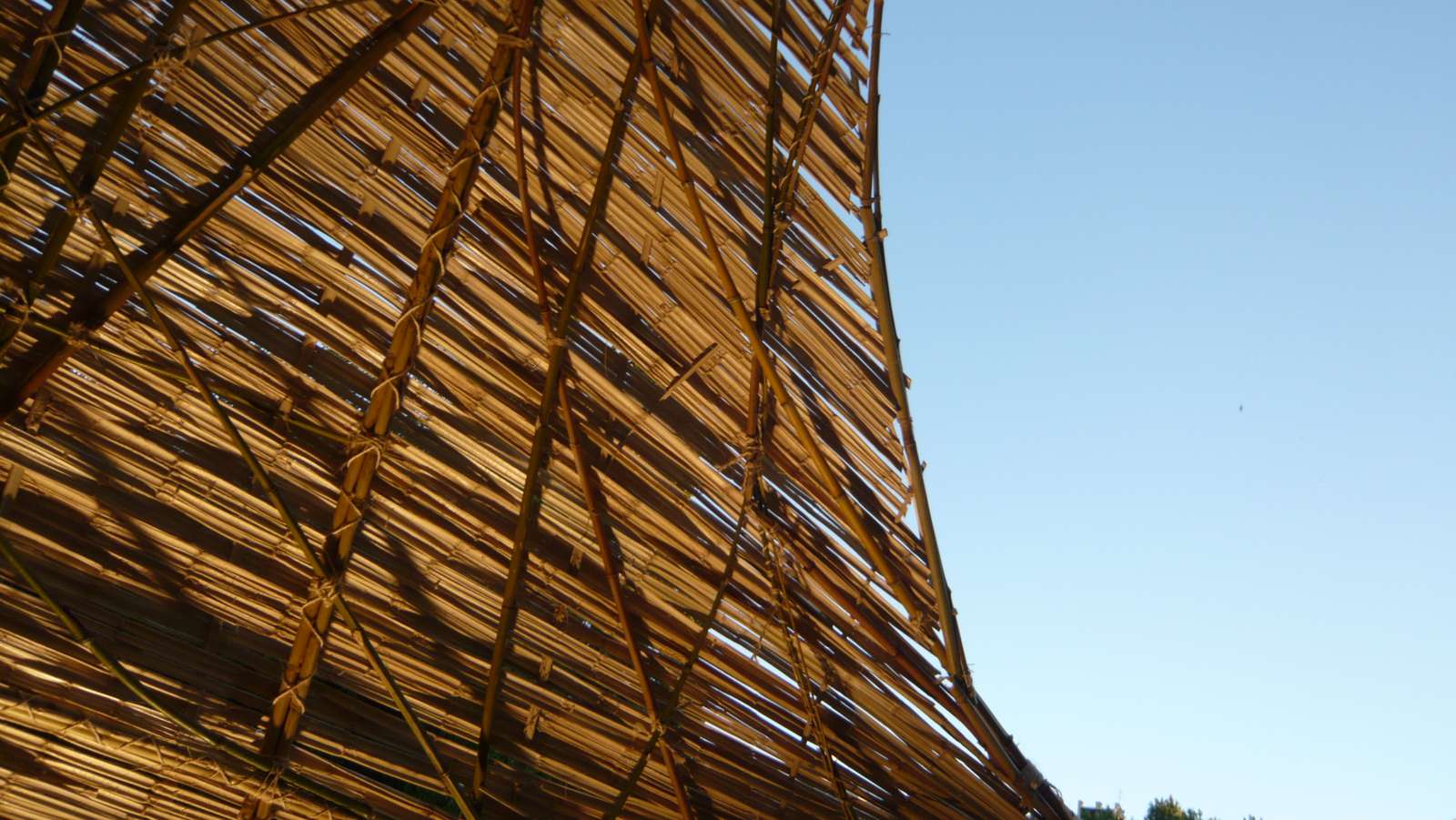 Cocoon na Fundação Gulbenkian