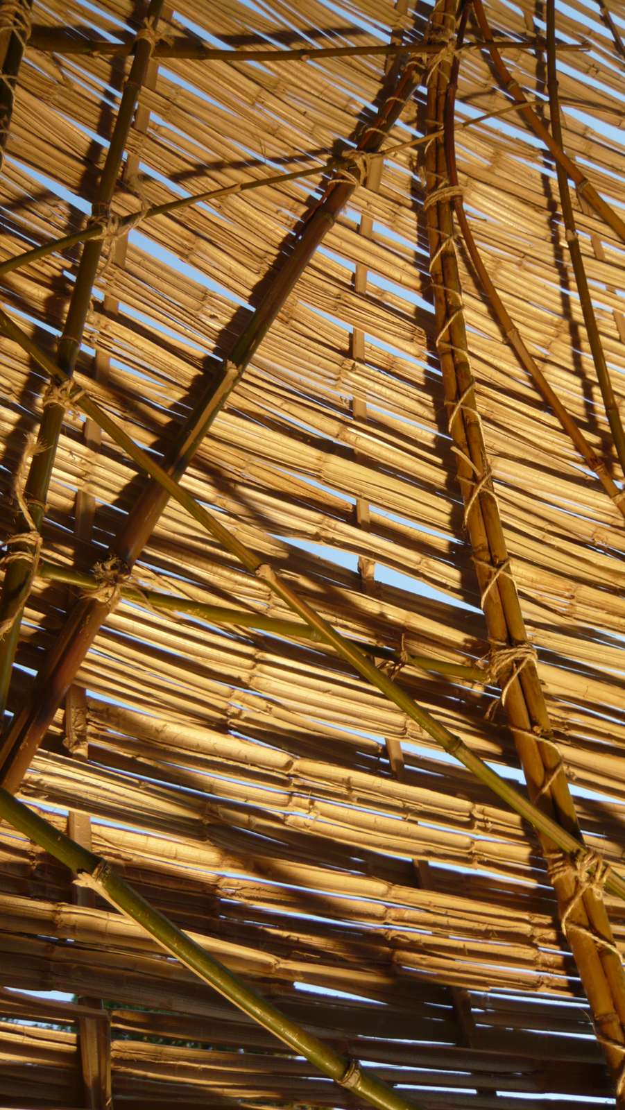 Cocoon na Fundação Gulbenkian