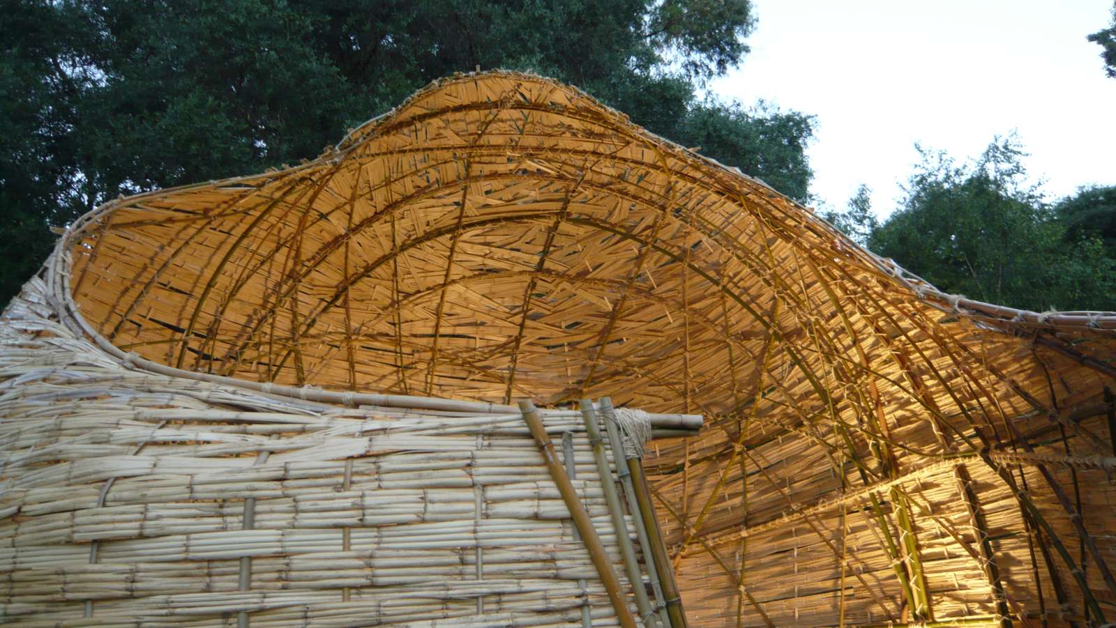 Cocoon na Fundação Gulbenkian