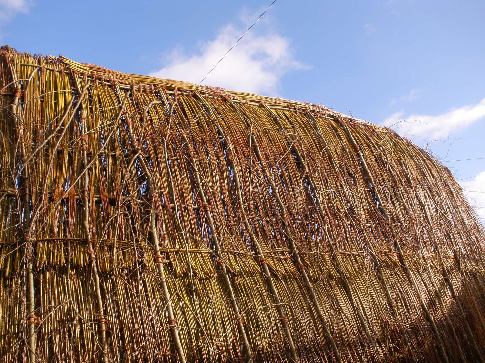 Shepherd Womb Shelter