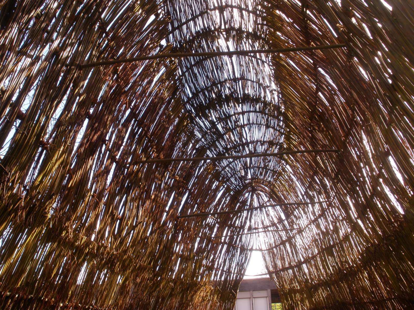 Shepherd Womb Shelter