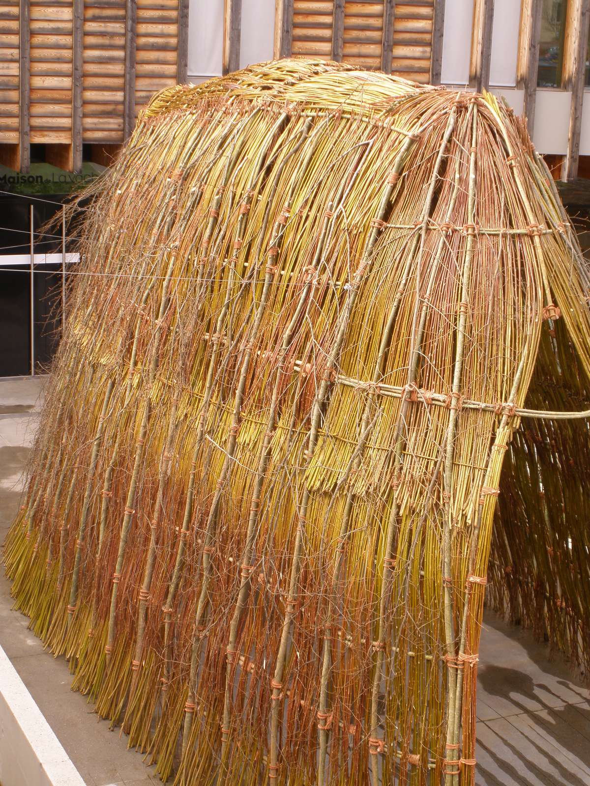 Shepherd Womb Shelter