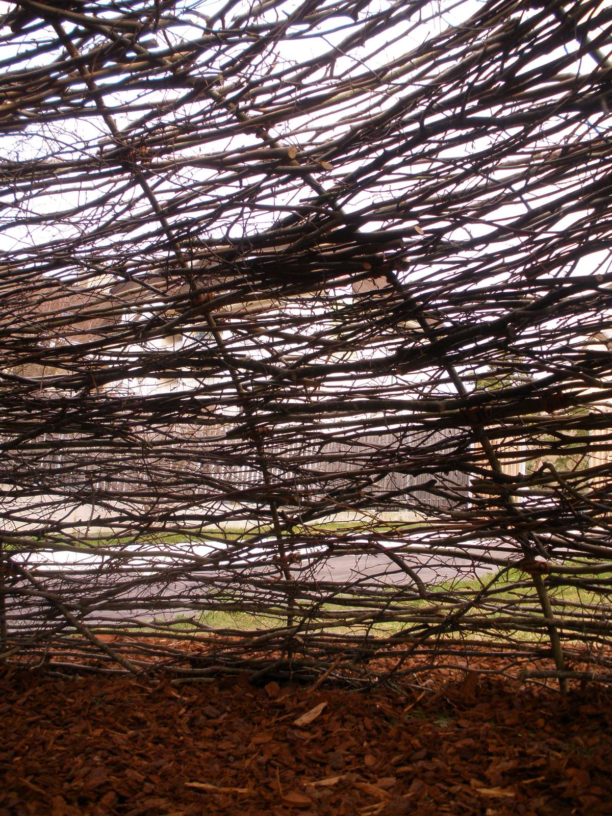 Shepherd Womb Shelter