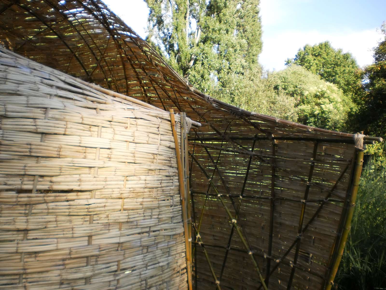 Cocoon na Fundação Gulbenkian