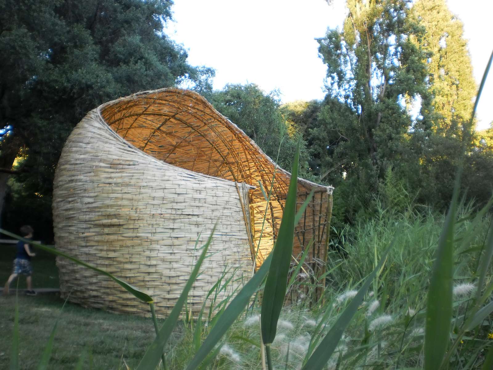 Cocoon na Fundação Gulbenkian
