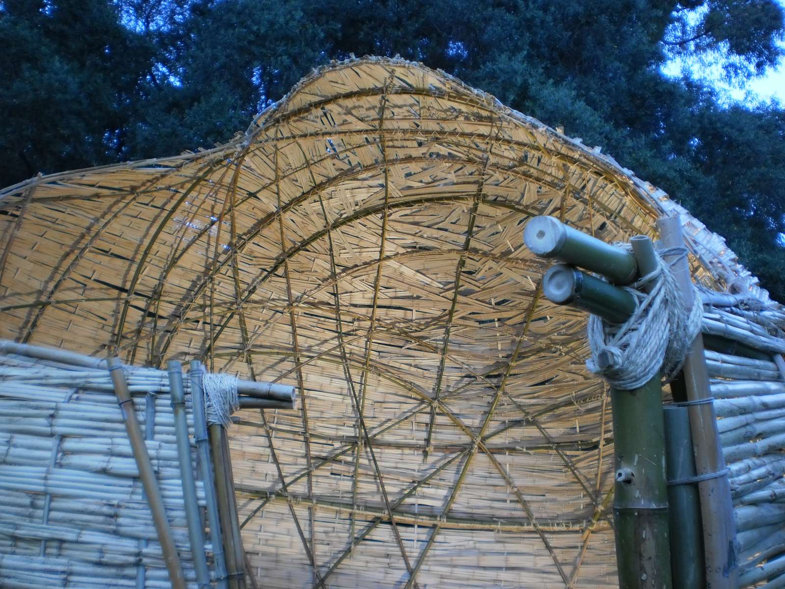 Cocoon na Fundação Gulbenkian