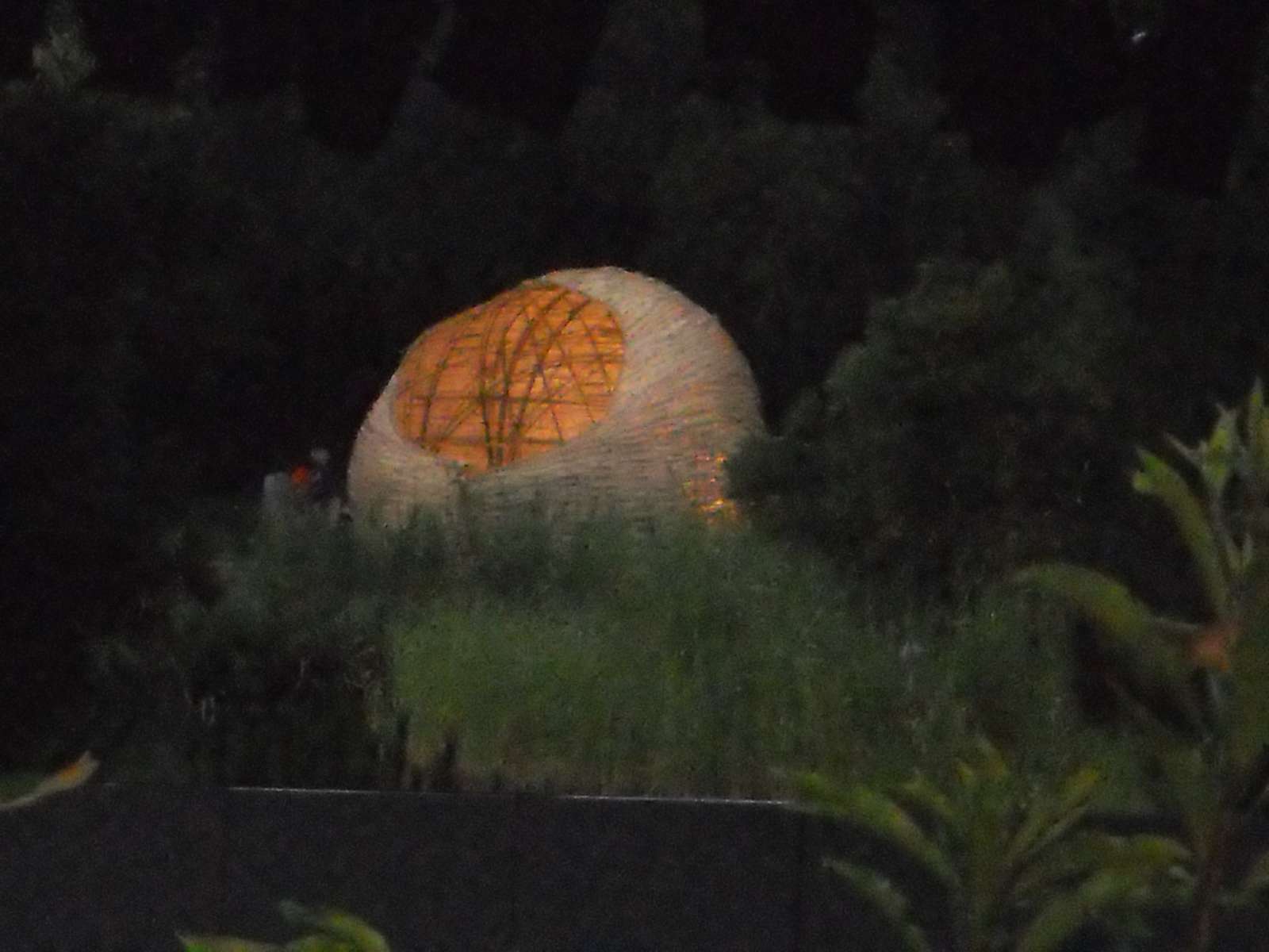 Cocoon na Fundação Gulbenkian