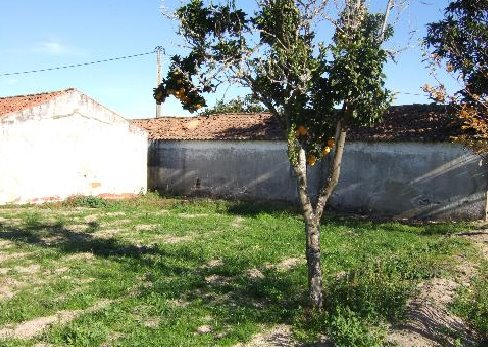 fachada4.jpg